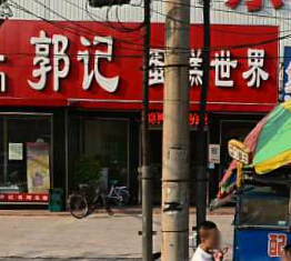 ��·�������ǵ����